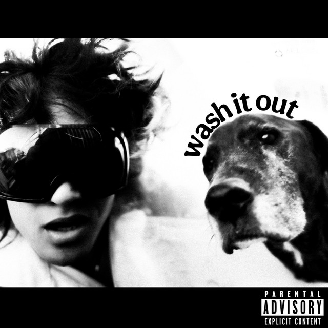 A person wearing ski goggles next to a dog.